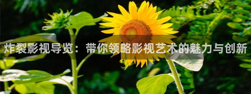 www新视觉：炸裂影视导览：带你领略影视艺术的魅力与创新
