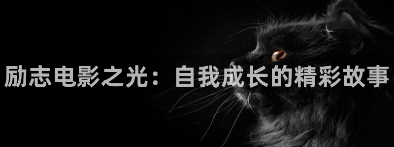 6080新视觉电影网最新电影：励志电影之光：自我成长的精彩故事