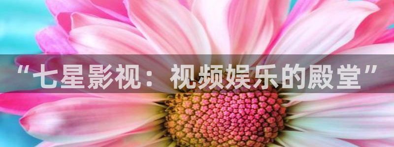 新视觉影视电视剧免费观看：“七星影视：视频娱乐的殿堂”