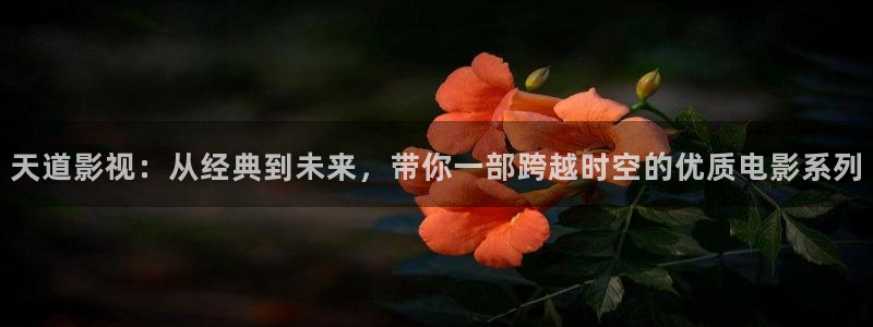 6080新视觉影院在线观看：天道影视：从经典到未来，带你一部跨越时空的优质电影系列