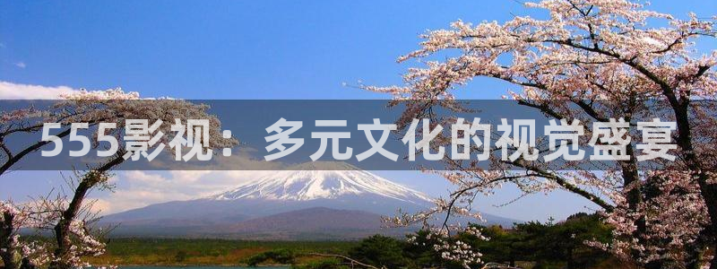 新视觉理论大全：555影视：多元文化的视觉盛宴