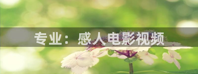 6080新视觉电影电视剧观看平台：专业：感人电影视频