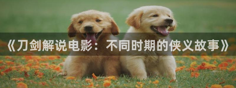 yy6680新视觉：《刀剑解说电影：不同时期的侠义故事》