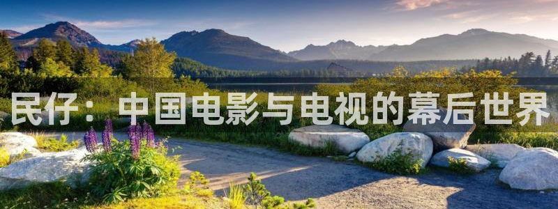新视觉6080电影高清观看：民仔：中国电影与电视的幕后世界