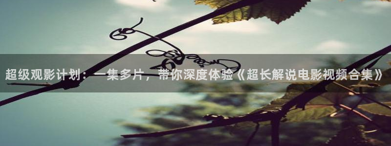 4408新视觉：超级观影计划：一集多片，带你深度体验《超长解说电影视频合集》