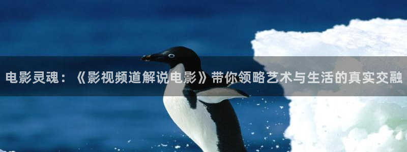 新视觉电影院免费电影
