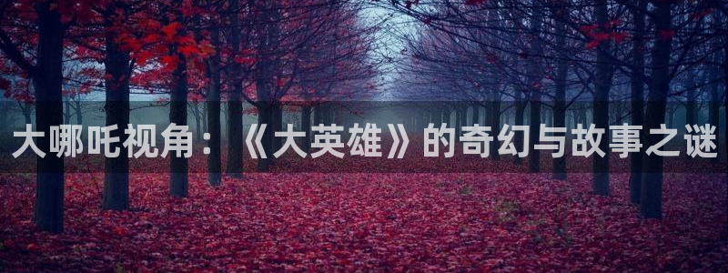 北京新视觉印刷有限公司：大哪吒视角：《大英雄》的奇幻与故事之谜