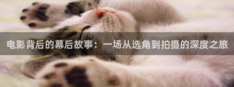 yy6080新视觉电视剧在线观：电影背后的幕后故事：一场从选角到拍摄的深度之旅