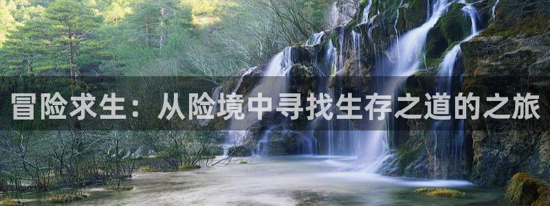 6080新视觉免费观看：冒险求生：从险境中寻找生存之道的之旅