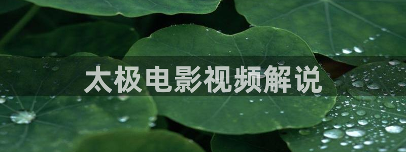 新视觉电影y6080：太极电影视频解说