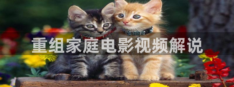 神马影院新视觉