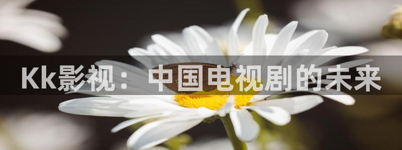 新视觉殇情影院
