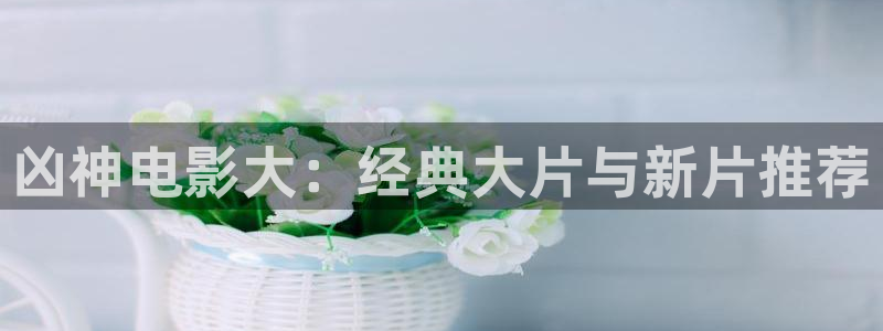 新视觉影院在线观看6080