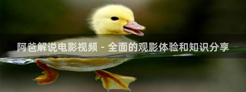 新视觉造型：阿爸解说电影视频 - 全面的观影体验和知识分享