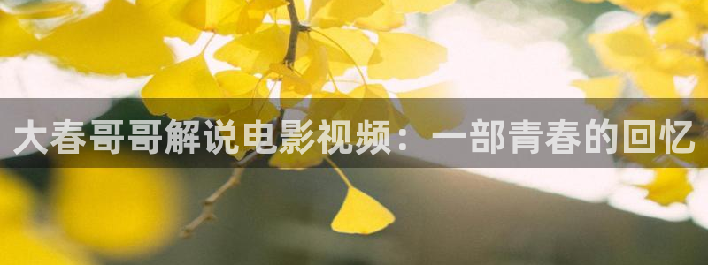 新视觉影视大全：大春哥哥解说电影视频：一部青春的回忆