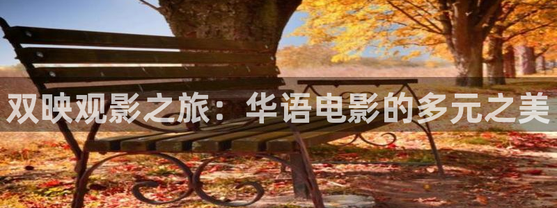 新视觉影院6080手机版：双映观影之旅：华语电影的多元之美
