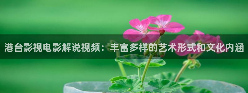 奇领新视觉：港台影视电影解说视频：丰富多样的艺术形式和文化内涵
