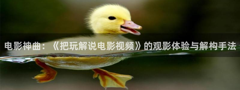 新视觉影院6089