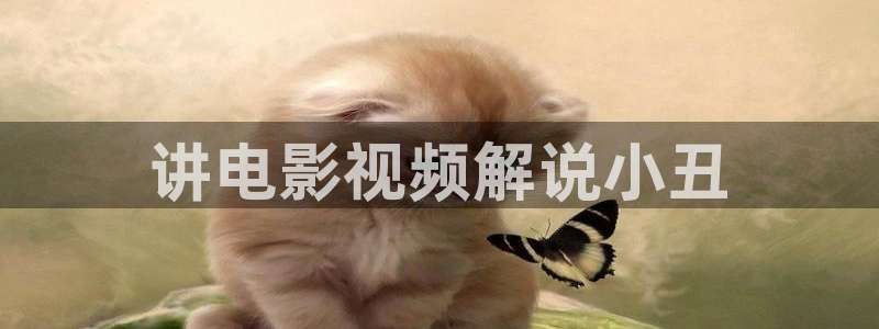 新视觉影院青苹果乐园：讲电影视频解说小丑
