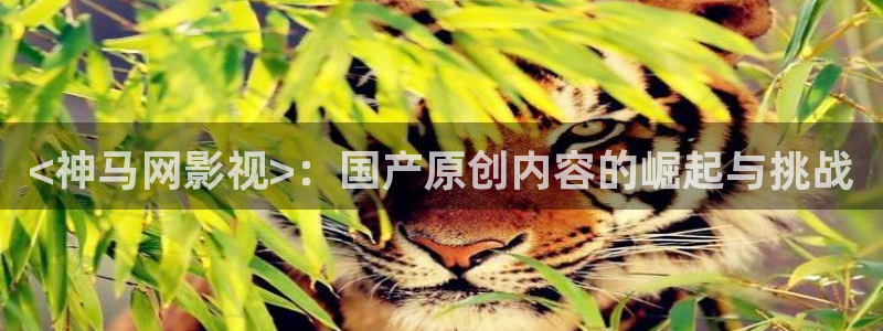 yy6080新视觉电视剧在线观：<神马网影视>：国产原创内容的崛起与挑战