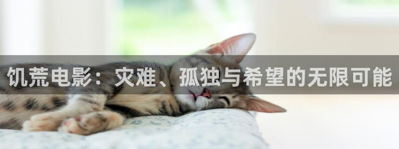 6080新视觉在线电影：饥荒电影：灾难、孤独与希望的无限可能