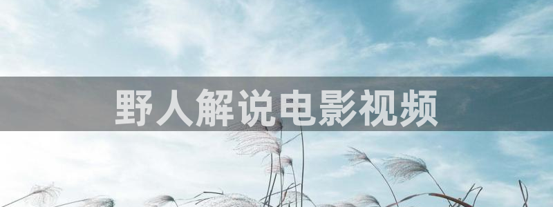 新视觉4480私人影院：野人解说电影视频