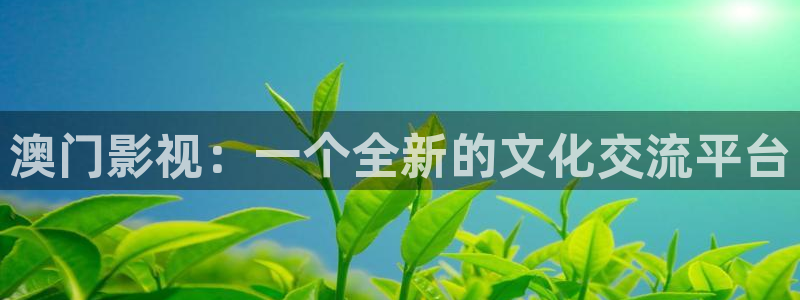 新视觉影院高清电影观看：澳门影视：一个全新的文化交流平台