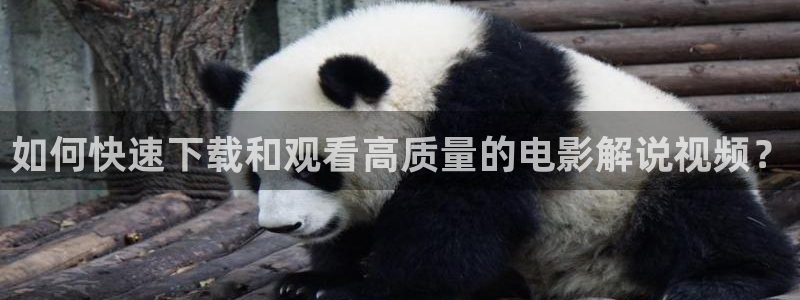 辛集新视觉影院：如何快速下载和观看高质量的电影解说视频？