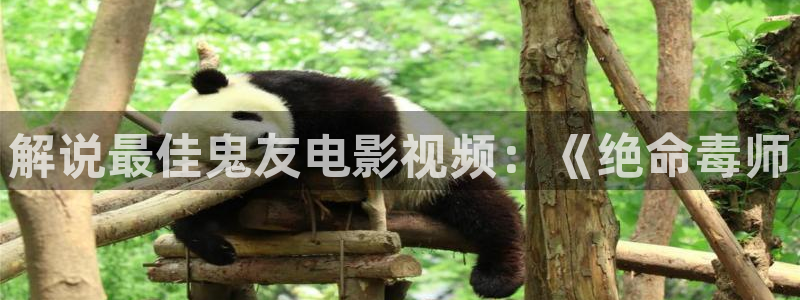 新视觉电视：解说最佳鬼友电影视频：《绝命毒师