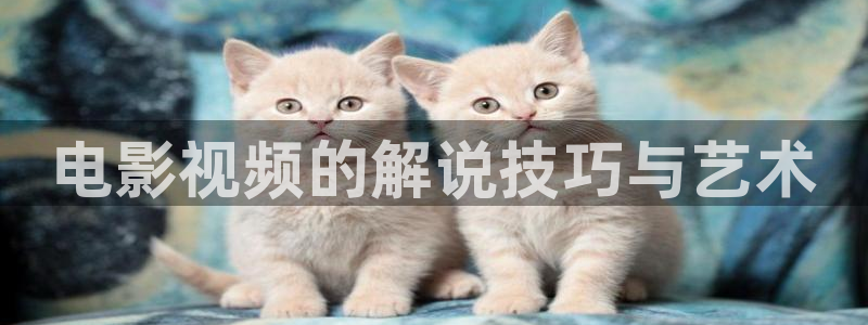 www.yy6090新视觉影院：电影视频的解说技巧与艺术