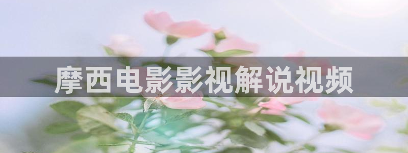 新视觉大片：摩西电影影视解说视频