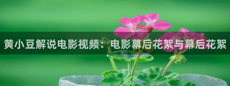 7080新视觉：黄小豆解说电影视频：电影幕后花絮与幕后花絮