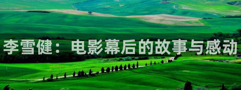 6080新视觉免费播放：李雪健：电影幕后的故事与感动