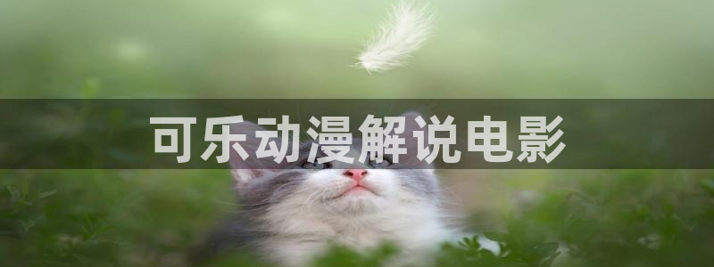6080新视觉手机官网：可乐动漫解说电影