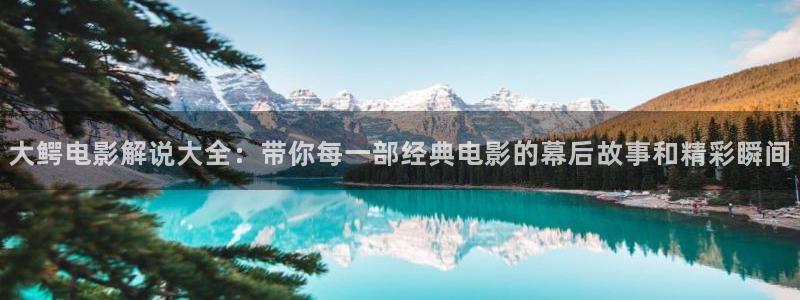 6090新视觉影视官网：大鳄电影解说大全：带你每一部经典电影的幕后故事和精彩瞬间