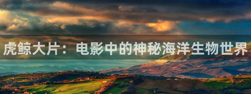 山东新视觉影视动画有限公司：虎鲸大片：电影中的神秘海洋生物世界