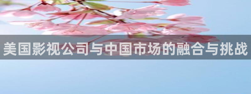 新视觉官网在线观看