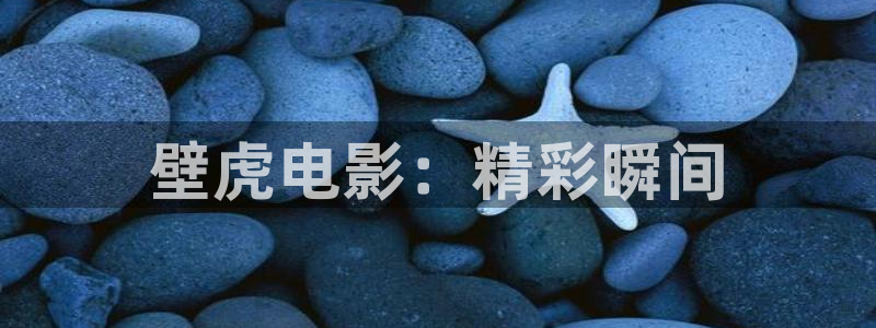 新视觉影院6080手机版：壁虎电影：精彩瞬间
