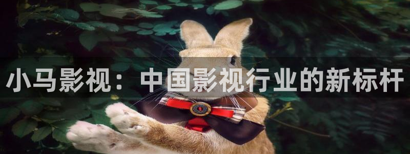 6090新视觉理论电影电视剧免费观看：小马影视：中国影视行业的新标杆