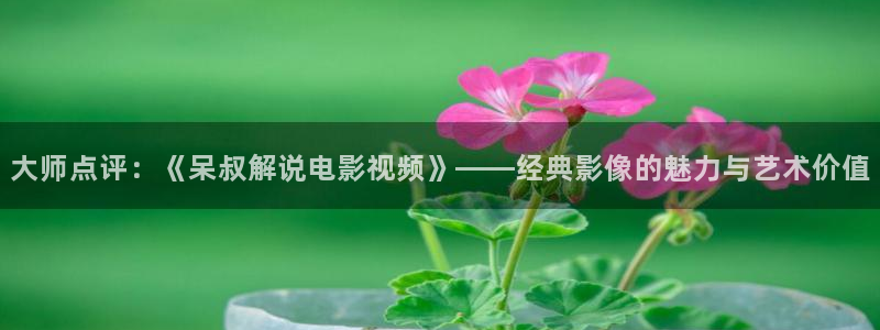 新视觉影院7080：大师点评：《呆叔解说电影视频》——经典影像的魅力与艺术价值