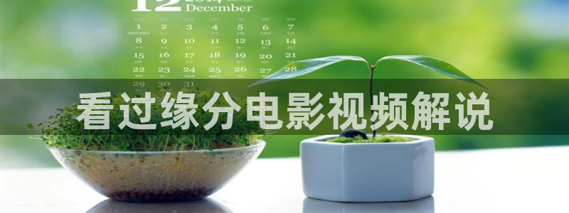 新视觉yy4080高清电视剧在线观看：看过缘分电影视频解说