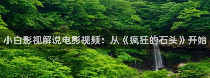 6080新视觉免费网站：小白影视解说电影视频：从《疯狂的石头》开始