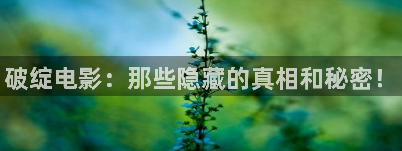 4408新视觉：破绽电影：那些隐藏的真相和秘密！