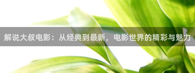 新视觉 4080