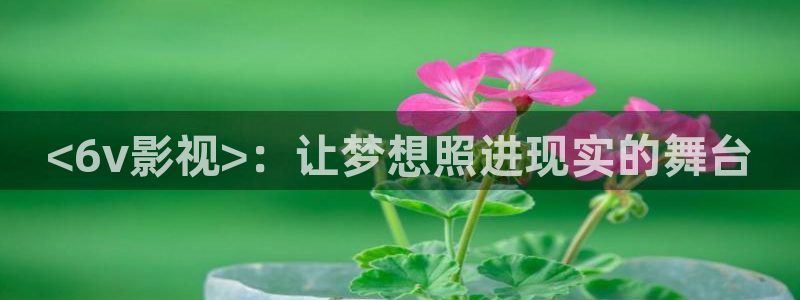 新视觉影院青苹果影院
