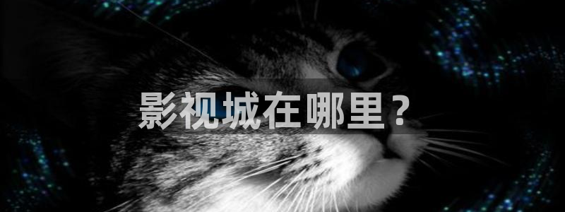 6080新视觉日韩