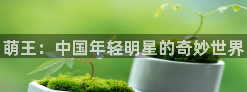 济南新视觉公司怎么样