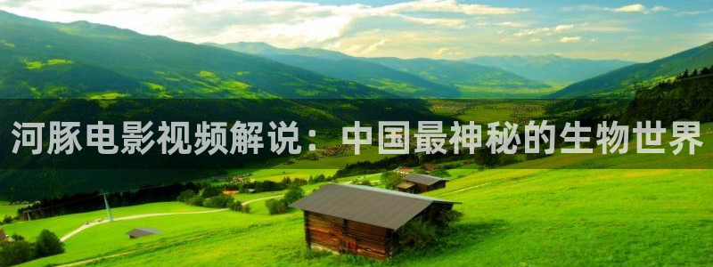yy6080新视觉电视剧免费上线