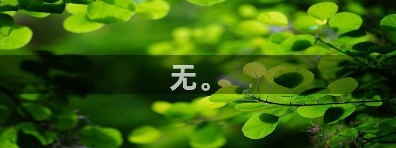 6080新视觉电影理论电视剧