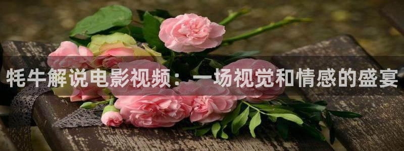 新视觉影院在